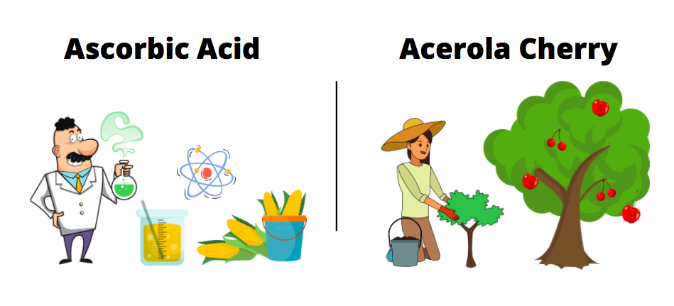 ascorbic acid vs acerola cherry